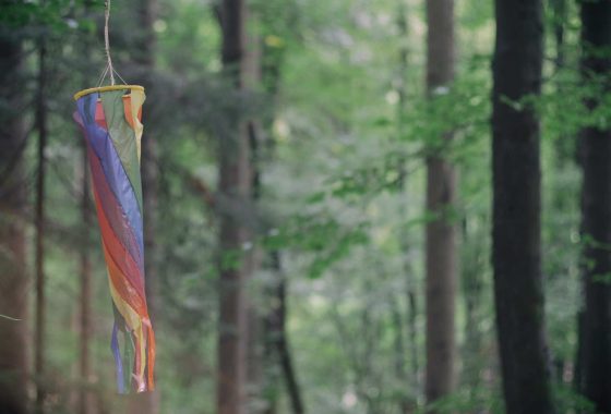 Wald- Kindergeburtstag